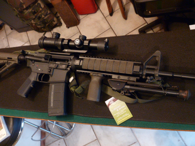 Schmeiser AR15 223 rem , canon lothar Walter